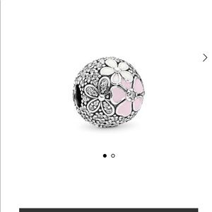 Pandora Poetic Blooms clips